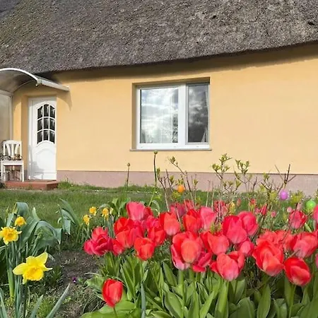 Urlauben Unterm Reetdach Apartman